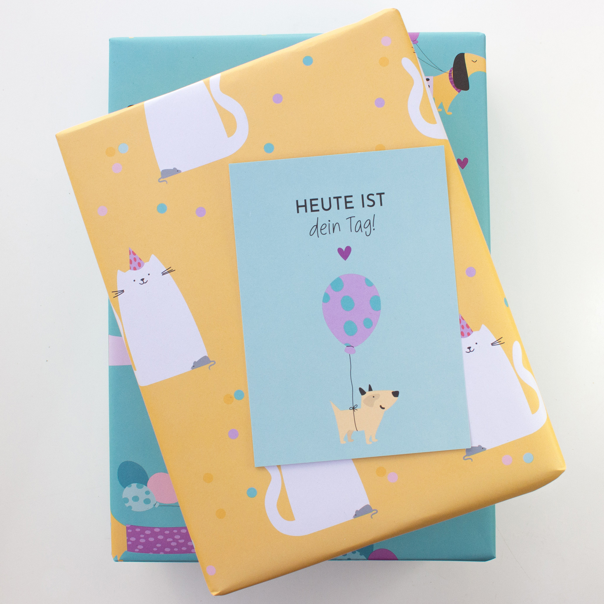 Zwei Geschenke in gelbem Katzen- und türkisem Dackel-Geschenkpapier mit der Geburtstagskarte „Heute ist dein Tag!“.