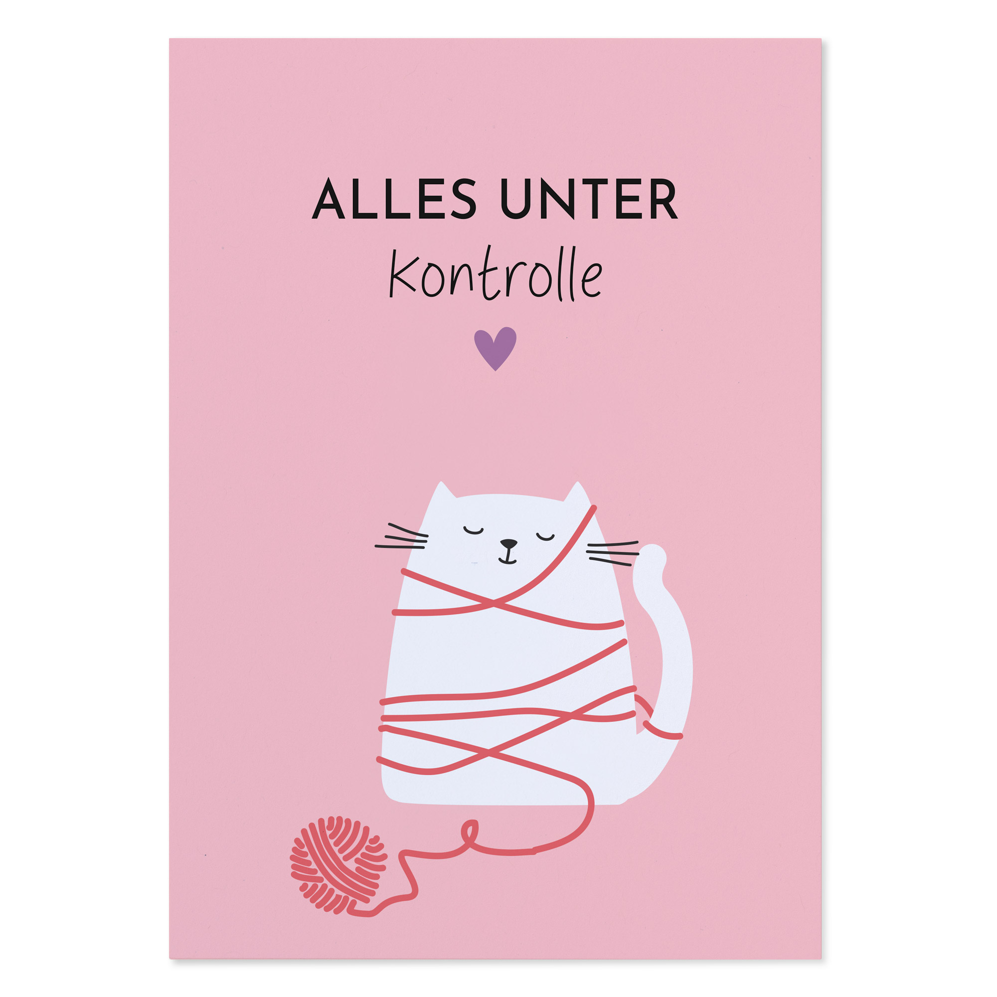 Postkarte Katze mit Spruch „Alles unter Kontrolle“