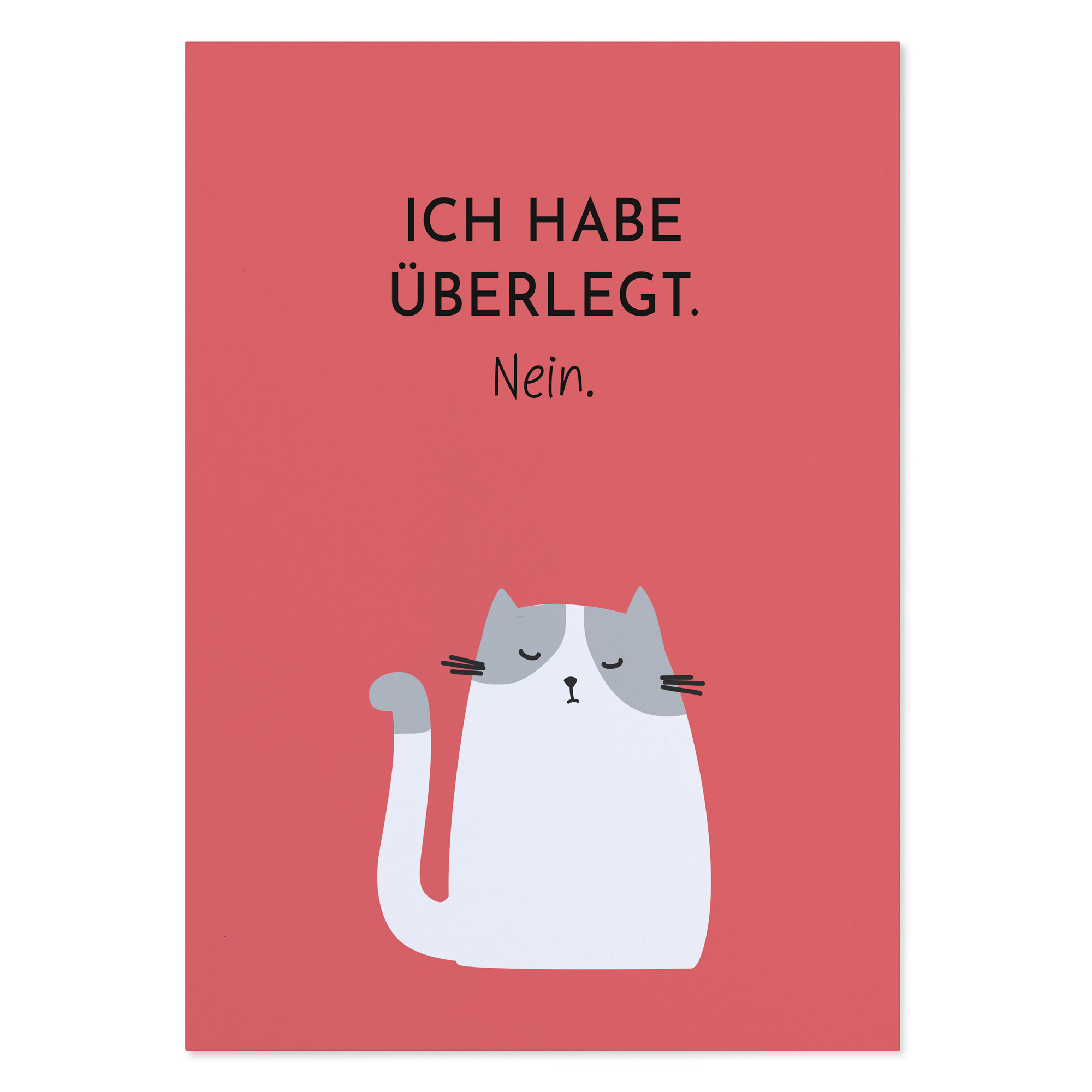 Postkarte Katze mit Spruch „Ich habe überlegt. Nein.“
